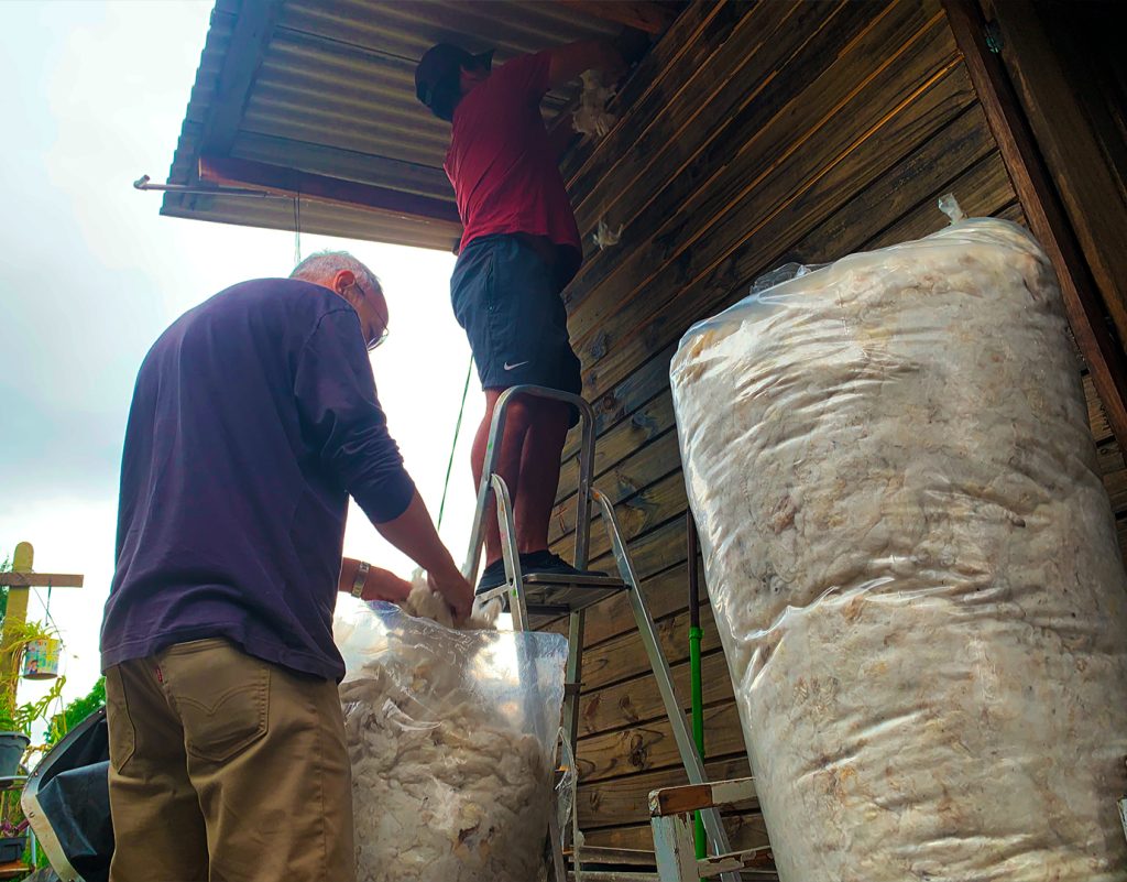 Primeiros testes com a lã de ovelha começaram na casa da Dona Magda 